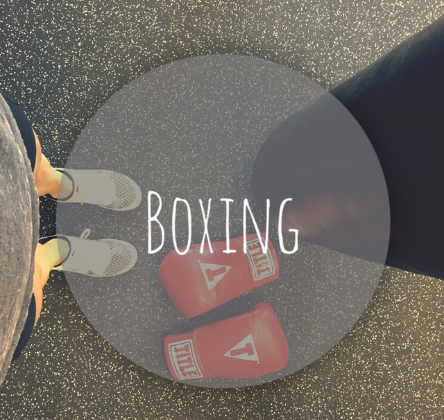 EverFit boxing