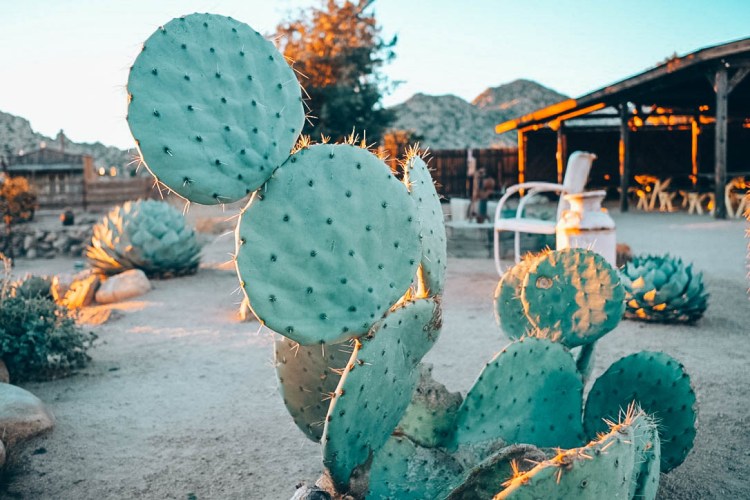 UNADJUSTEDNONRAW_thumb_693