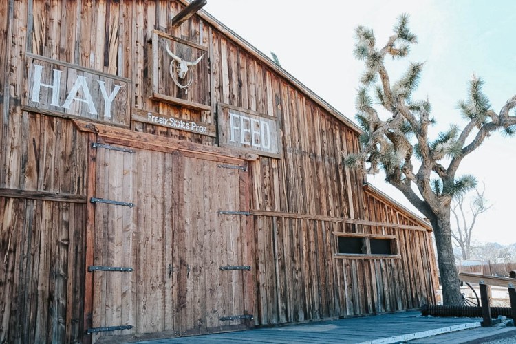 UNADJUSTEDNONRAW_thumb_69b